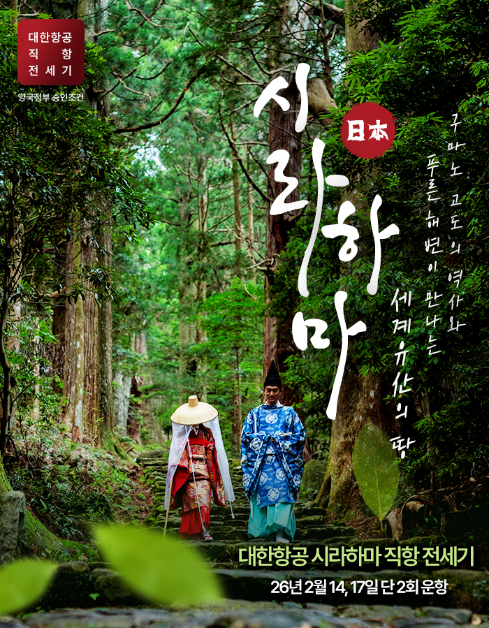 [기획전] 시라하마 전세기 기획전